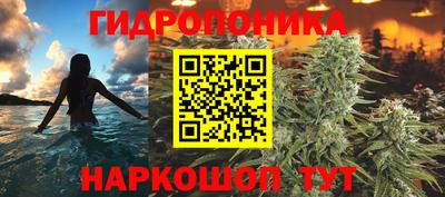 твердый Краснодар