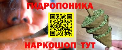 apvp Краснознаменск
